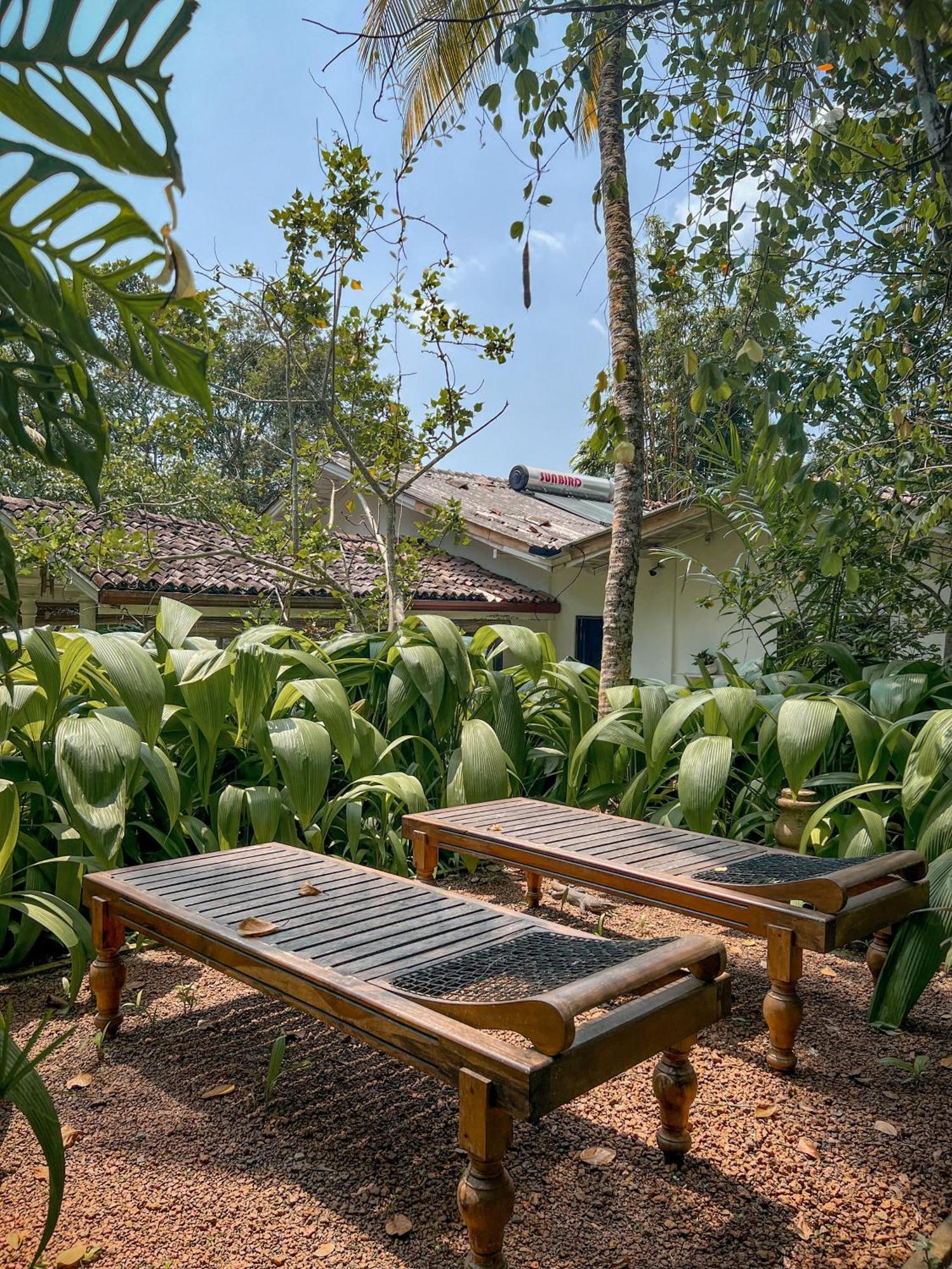 Medusa Bungalow - Galle Exterior foto